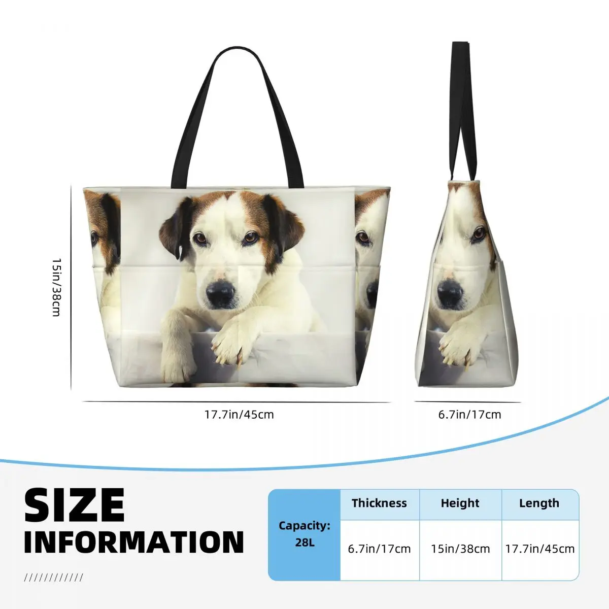 Dog Jack Russell Terrier Photo - огляд і ціна Yoga Fitness Photos